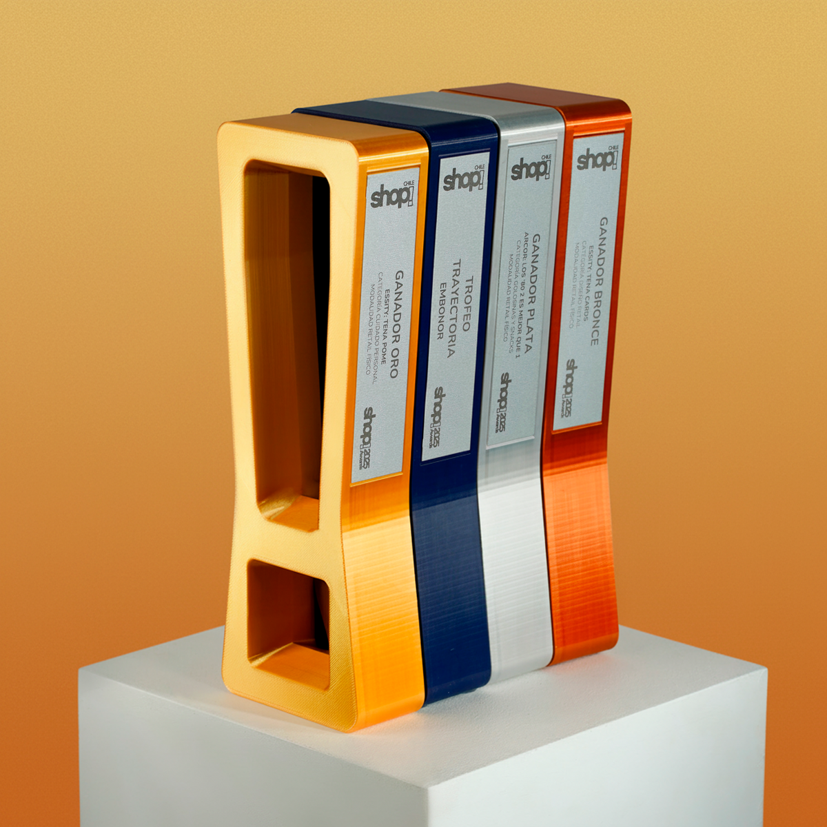 Galardón para empresas tamaño L 25cm diseño personalizado premium 3D Qactus para Shop