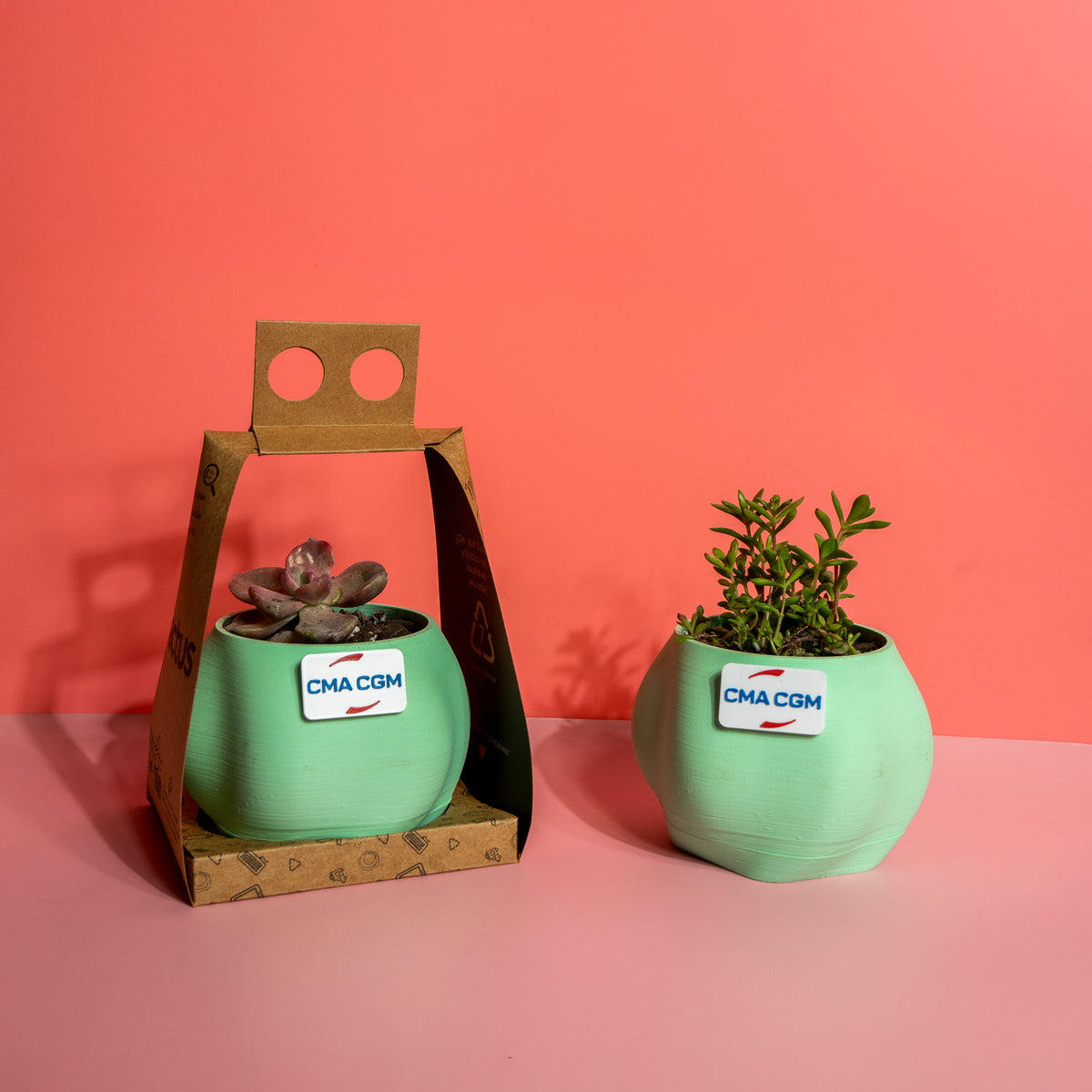 Macetas personalizadas con logo, planta y packaging elegante para la marca CMA CGM