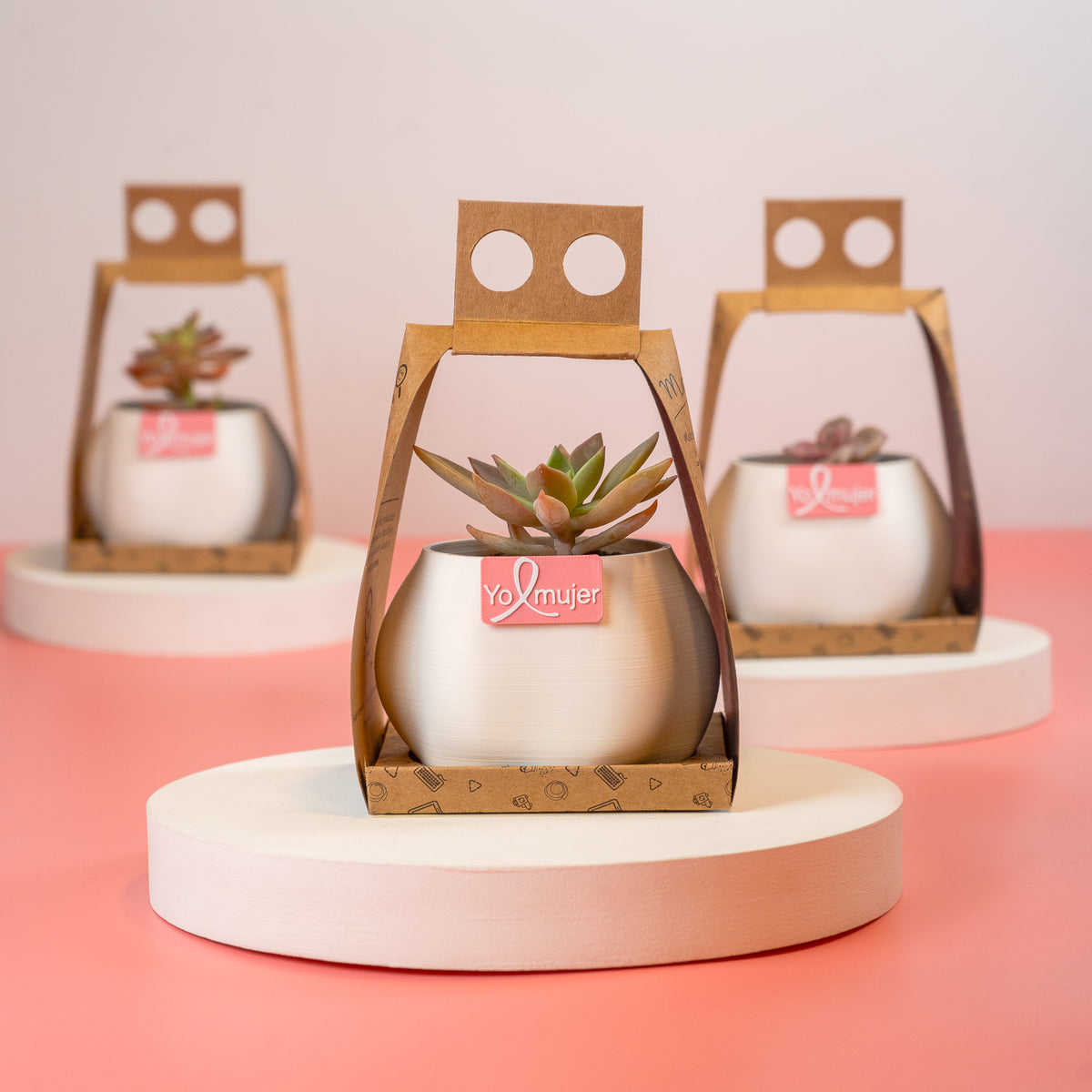 Macetas personalizadas con logo, planta y packaging elegante para el Ministerio de la Mujer