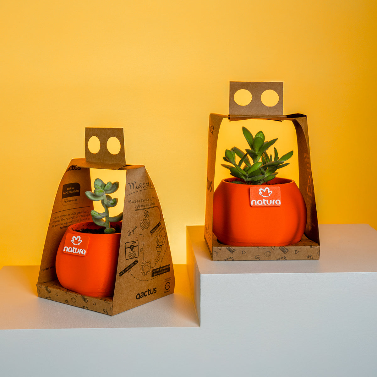 Macetas personalizadas con logo, planta y packaging elegante para la marca Natura.