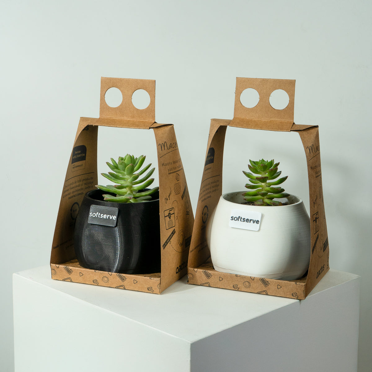 Macetas personalizadas con logo, planta y packaging elegante para la marca Softserve