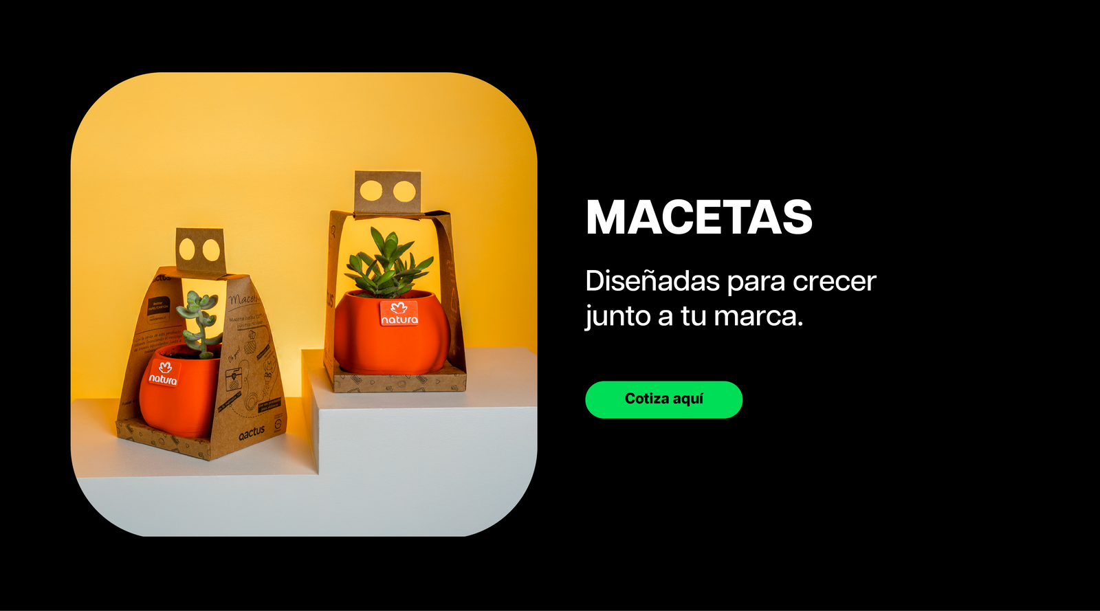 Macetas personalizadas fabricadas en impresión 3D para marcas, presentadas con packaging y plantas naturales en exhibición