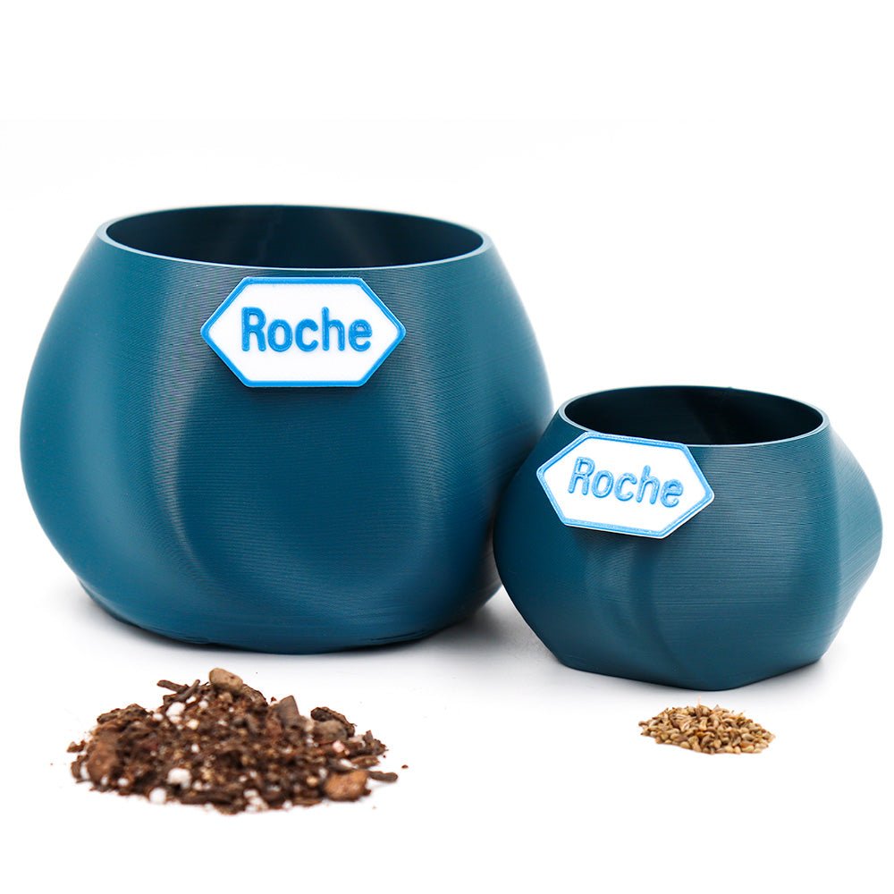 Kit Germinable - Qactus