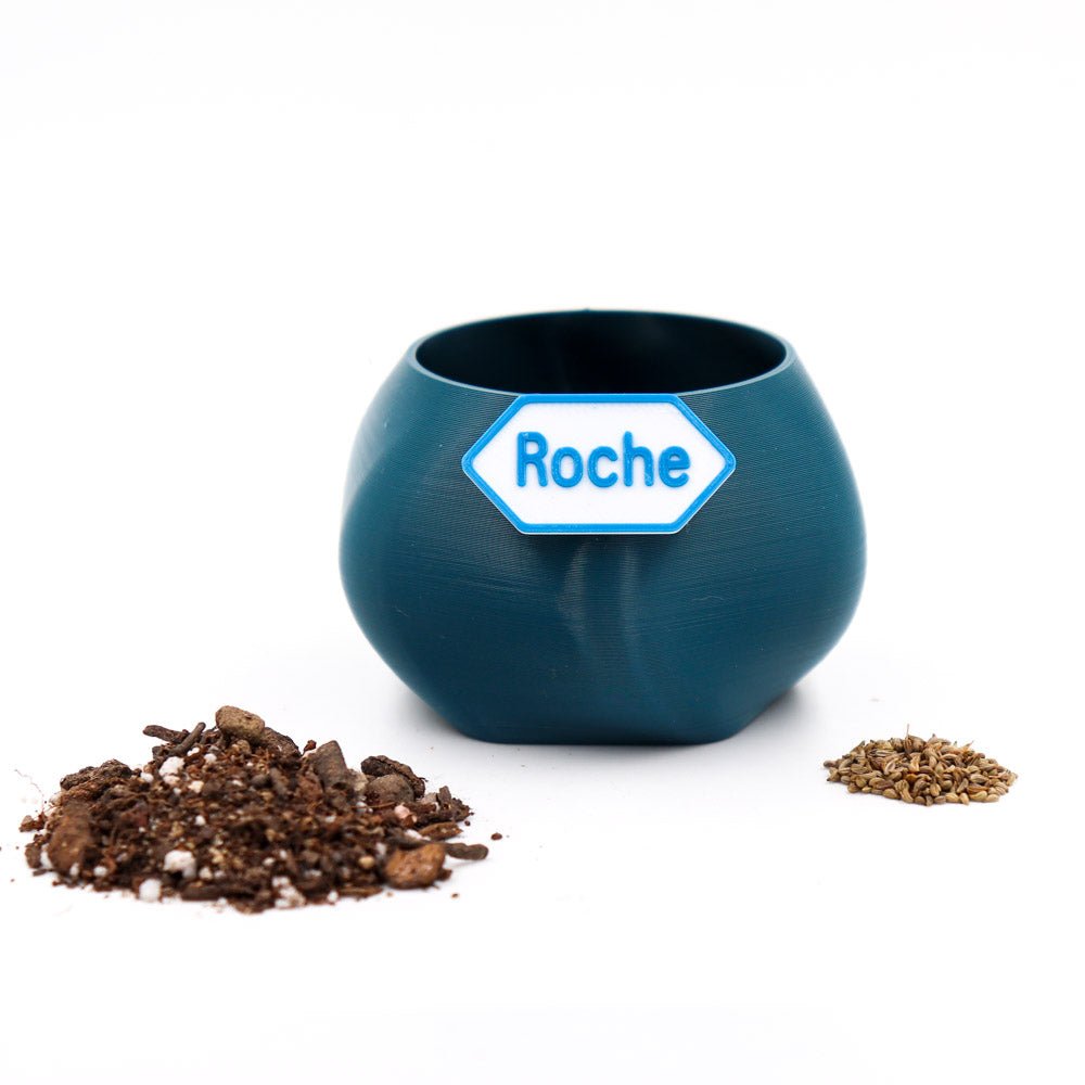 Kit Germinable - Qactus